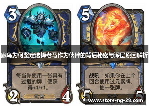魔鸟为何坚定选择老马作为伙伴的背后秘密与深层原因解析